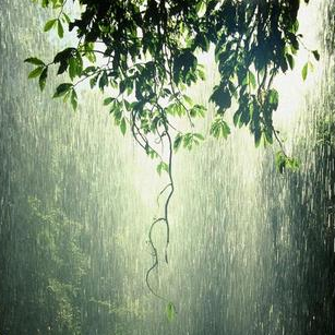 《雨的印记》KISS The Rain/C调经典版-钢琴谱