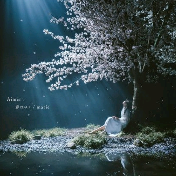 【Aimer】《Marie》（日奥纪念展印象曲）-钢琴谱