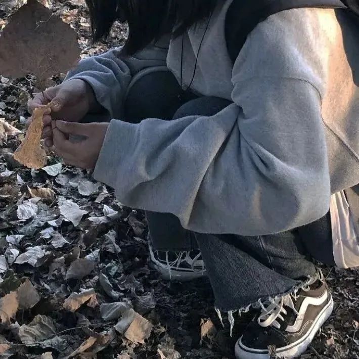 每日必弹钢琴谱