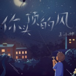 你是风儿我是杀吉他谱