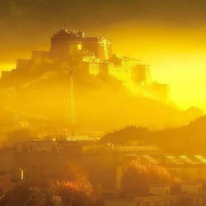 在那金山上吉他谱