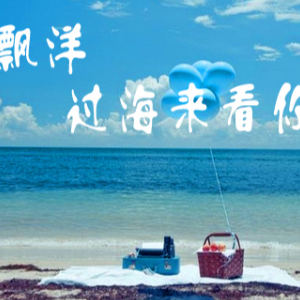 已学-钢琴谱