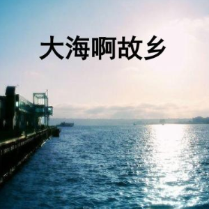 大海啊故乡简谱左右手_大海简谱左右手(2)