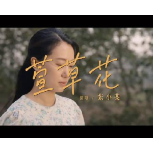 花祭高清吉他谱简单版