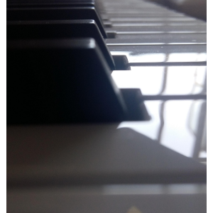 easy-钢琴谱