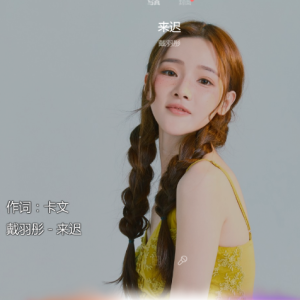 迟来的爱吉他谱(吉他图谱