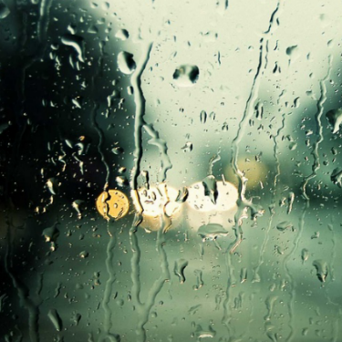 Rain After Summer/夏雨-羽肿