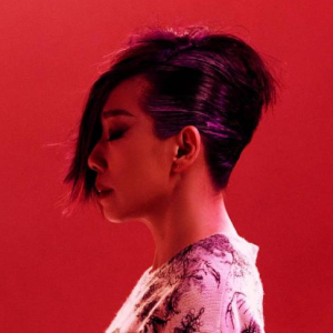 林忆莲《失踪》C调原版吉他谱-钢琴谱