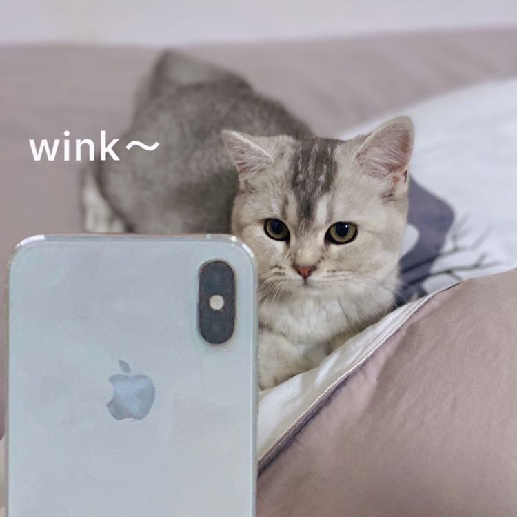 颜韵的爱谱钢琴谱