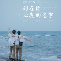 刻在我心里的名字吉他谱g