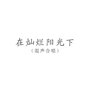 《在灿烂阳光下》合唱钢琴谱大全钢琴谱