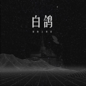 mandarin白鸽吉他谱