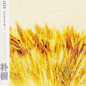 朴树歌曲吉他谱c调