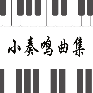 39.贝多芬-Op.49 No.2-1 G大调