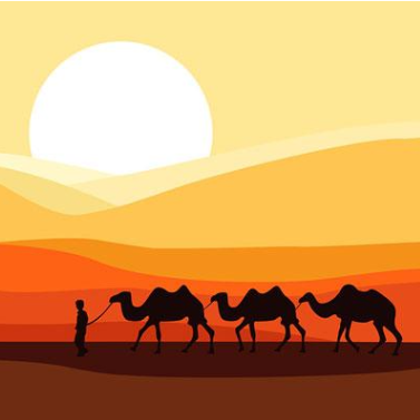 沙漠骆驼-钢琴谱