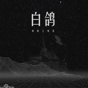 白鸽与风铃草吉他谱