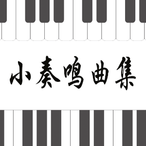 海顿B大调优美的行板钢琴简谱 数字双手