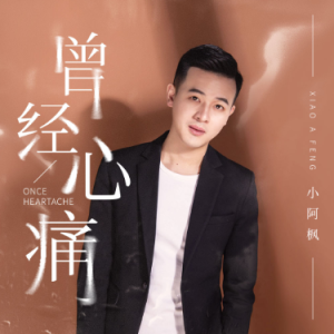 小山2013心痛吉他谱
