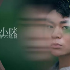 枯木逢春 谜底吉他谱