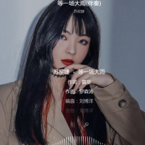 大雨还在下吉他谱几品