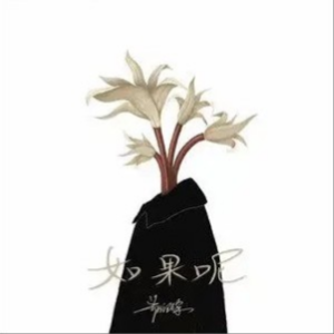郑嘉嘉吉他谱大全