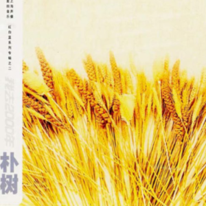 New Boy - 朴树 - 极简C调完美版 - 适合初学者 - 附歌词