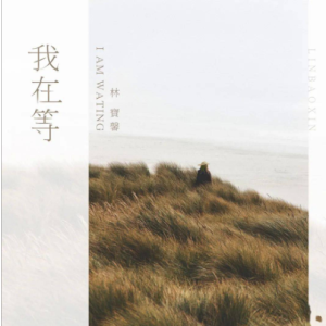 林芬宇创作吉他谱