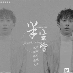 半生雪吉他谱刘传