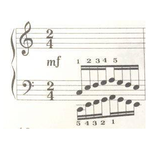 哈农第46条（颤音）单页精简排版-钢琴谱