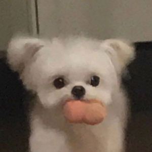 动漫钢琴谱