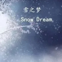 雪之梦钢琴曲教学视频大全钢琴谱