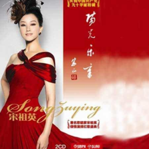 一支簇拥烈日的花吉他谱