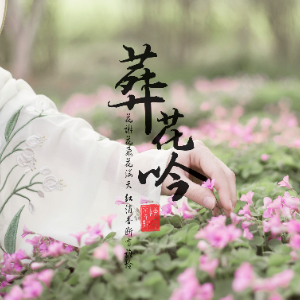 红楼梦-钢琴谱