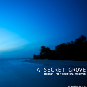 A Secret Grove-钢琴谱