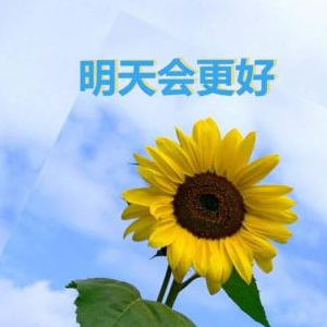 明天会更好 C调简易版 罗大佑  经典流行
