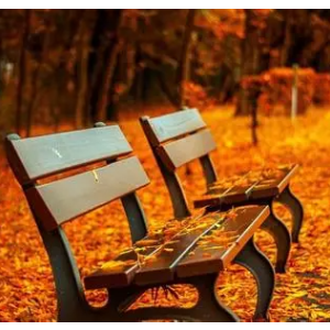 Autumn Leaves 秋叶 Bill Evans版本-钢琴谱