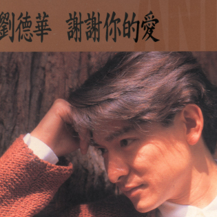 谢谢你的爱