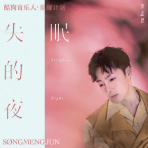 孤独的夜夜哨吉他谱
