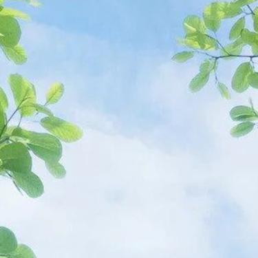 Summer Tree - 羽肿-钢琴谱