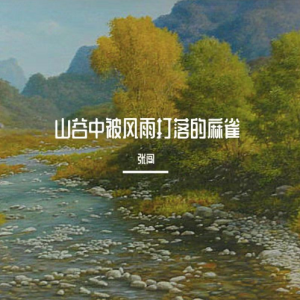 麻雀吉他谱