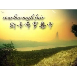 吉他谱简单版斯卡集市