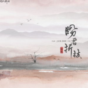 风来君相忆 吉他谱