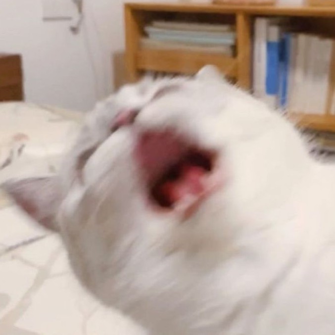 考试钢琴谱