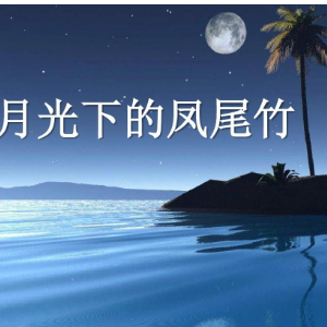 月光下的凤尾竹 C调简易版  流行经典-钢琴谱