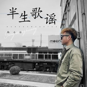 半生吉他谱c调简单版