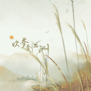 野草吉他谱 扬