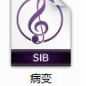 病变钢琴谱数字谱钢琴谱