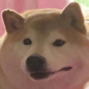 接下来弹的钢琴谱