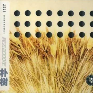 new boy原版吉他谱
