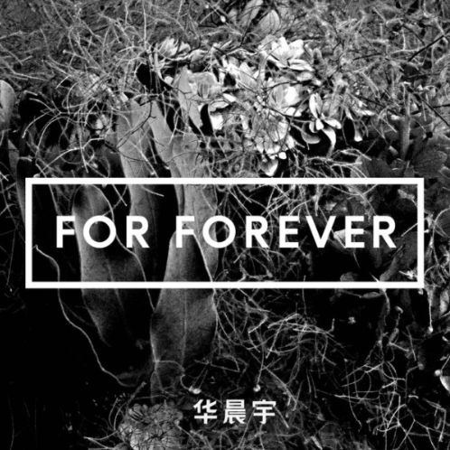 《For Forever》- 华晨宇 独奏谱钢琴谱